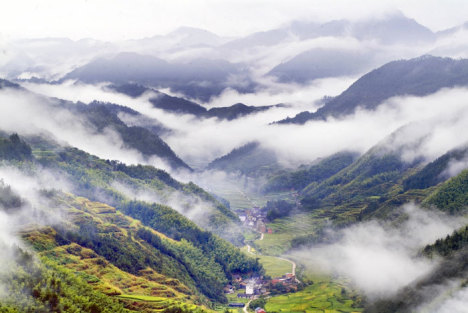 李子柒：从平凡到非凡的旅程——揭秘她为何改名背后的故事